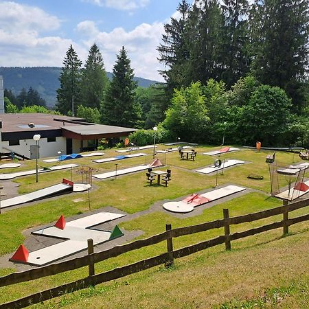 Ferienwohnung Skadi, Hahnenklee جوسلار المظهر الخارجي الصورة