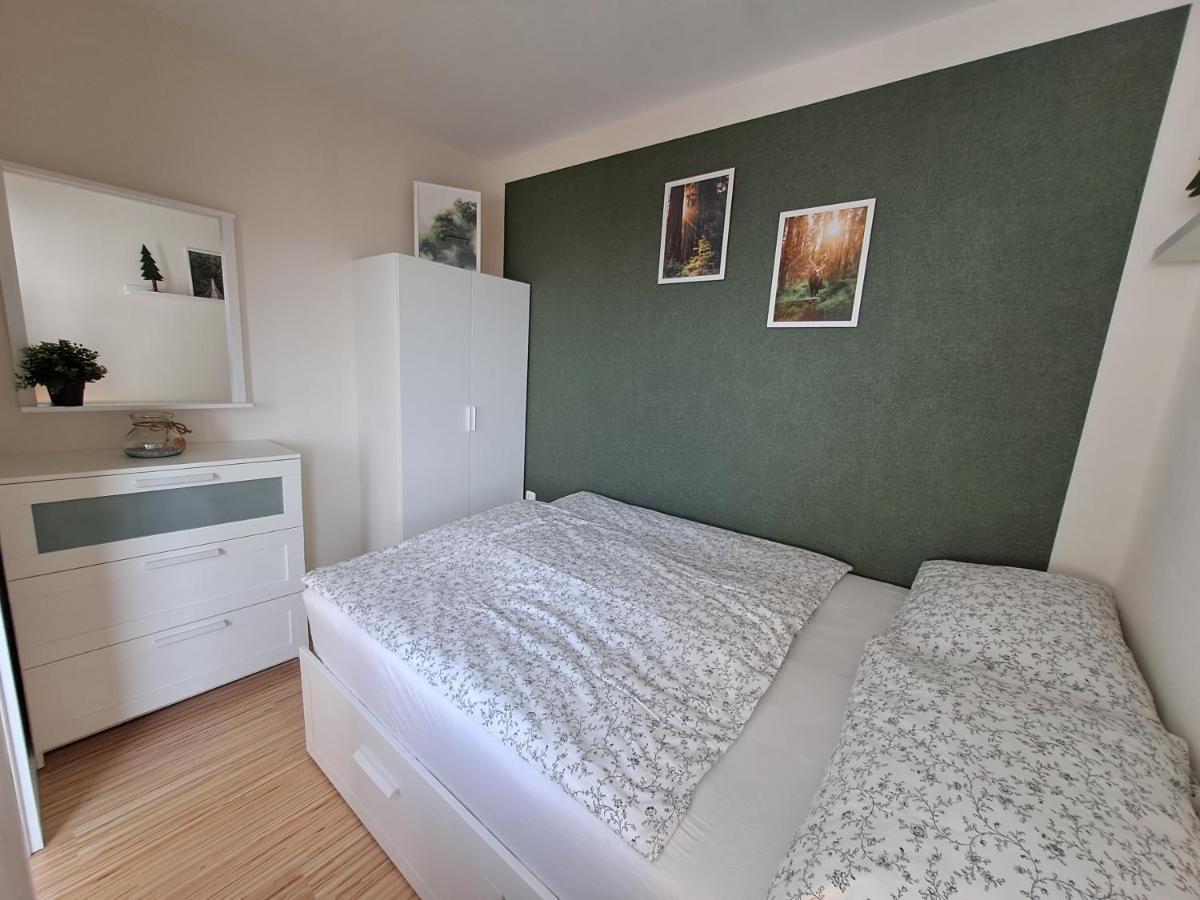Ferienwohnung Skadi, Hahnenklee جوسلار المظهر الخارجي الصورة