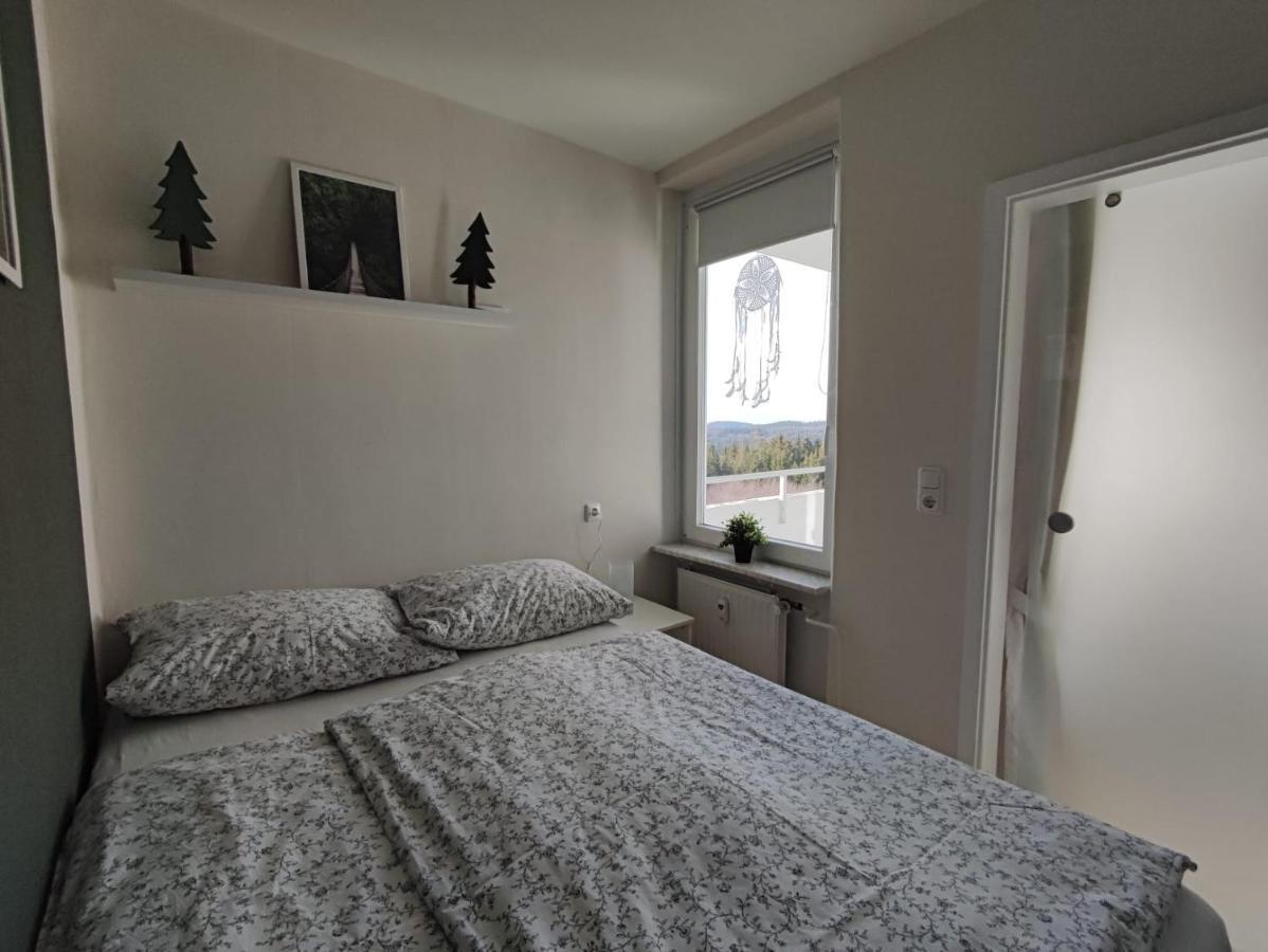 Ferienwohnung Skadi, Hahnenklee جوسلار المظهر الخارجي الصورة