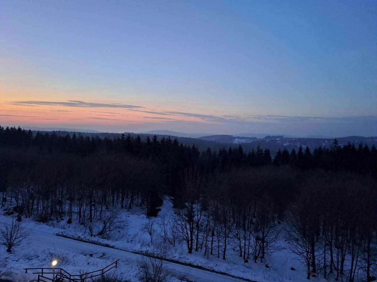 Ferienwohnung Skadi, Hahnenklee جوسلار المظهر الخارجي الصورة