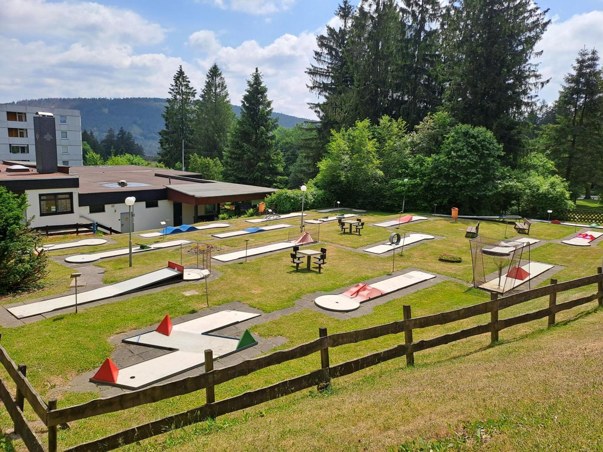 Ferienwohnung Skadi, Hahnenklee جوسلار المظهر الخارجي الصورة