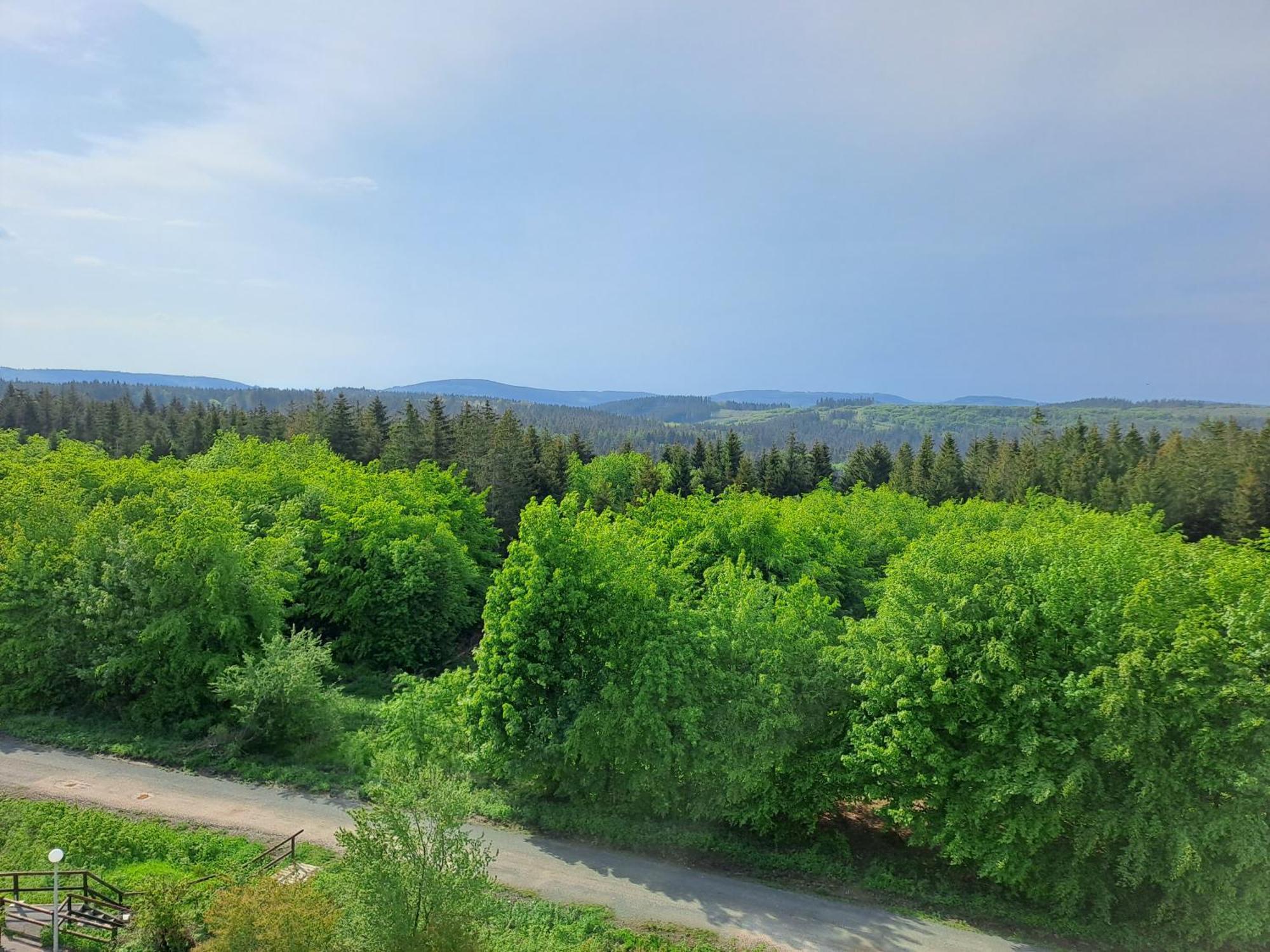 Ferienwohnung Skadi, Hahnenklee جوسلار المظهر الخارجي الصورة